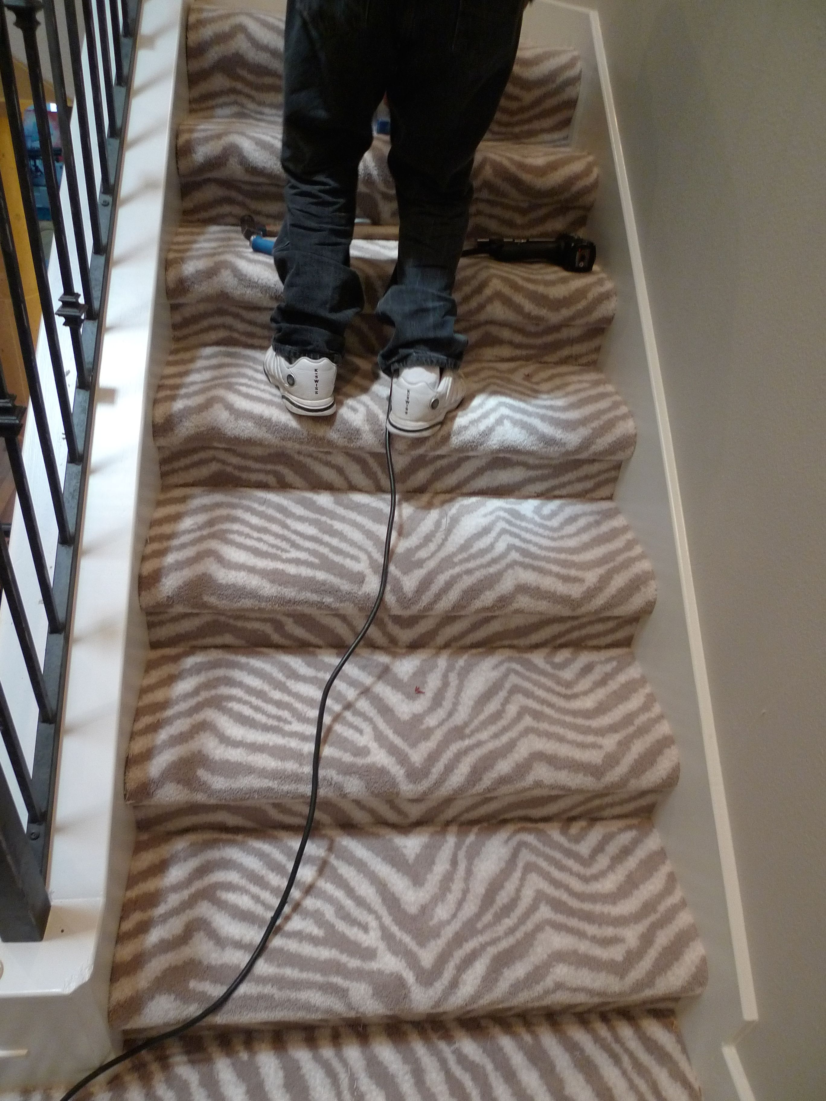 Zebra Staircase Two Diffe Ways To Carpet The Stairs Opinions On Wood Stairs 3496gqf Jpg